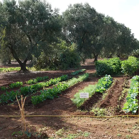 فندق Masseria Li Reni ماندوريا