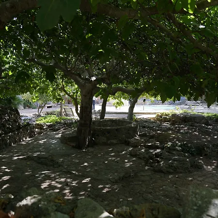 فندق Masseria Li Reni *